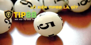 Tìm hiểu khái niệm và kinh nghiệm đánh lô xiên Tip88