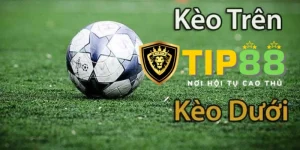 Những Điều Cần Biết Để Chọn Kèo Trên Kèo Dưới Tip88